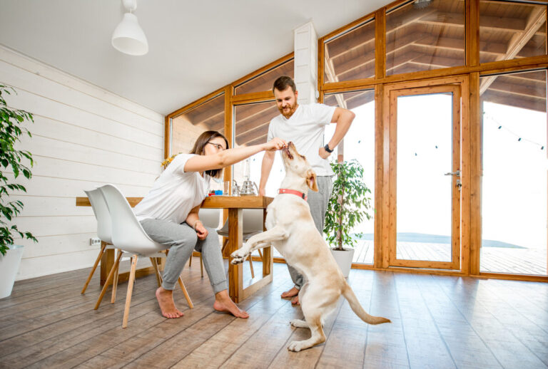 Indian Hills neighborhood